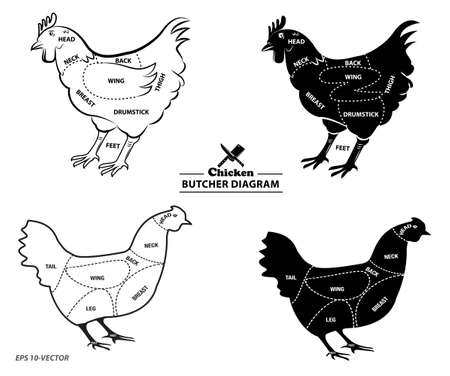 chicken silhouette or butcher diagram or part of hen butcher concept. easy to modifyのイラスト素材