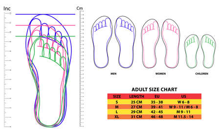 set of shoes chart size or socks chart size or measurement foot chart concept.   easy to modifyのイラスト素材