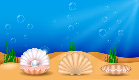 set of realistic shiny pearls or various color pearls inside sea shell or opened sea shell with soft mollusk.のイラスト素材