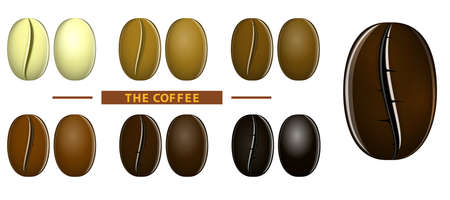 set of coffee beans transforming from white to black roasted or coffee stages roasting. eps vectorのイラスト素材