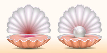 set of realistic beautiful opened shell with pearl or opened sea shell with soft mollusk. eps vectorのイラスト素材