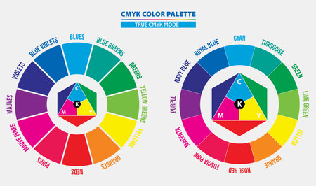 Colorful Infographic Templates for Business Vector Illustration. EPS10のイラスト素材