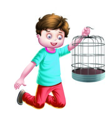 Boy holds a cageの写真素材