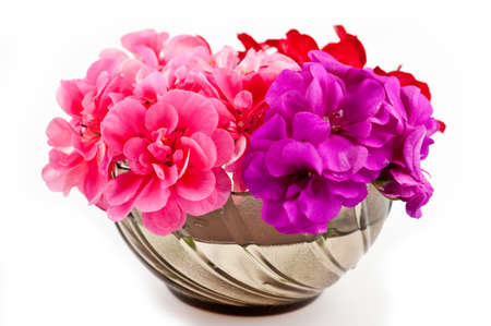 Geranium flowers. Geranium flower decoration isolated on the white background.の写真素材