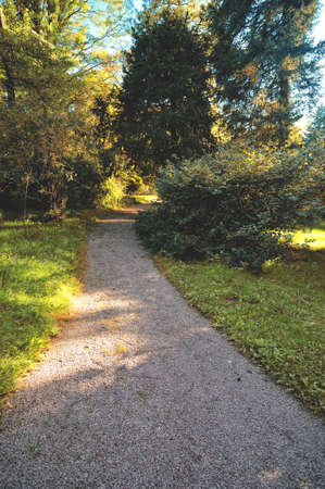 Park alley. Empty alley in the park at the end of the summer season.の写真素材