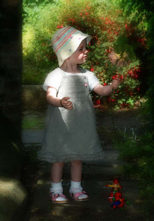 Little Roseの写真素材
