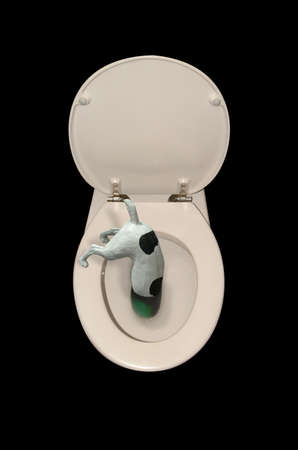 Dog Bowlの写真素材