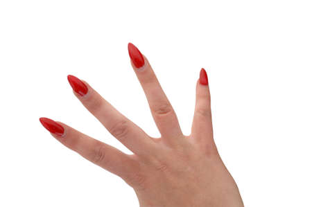 Manicured Handの写真素材