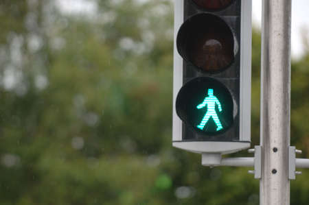 Pedestrian Signal