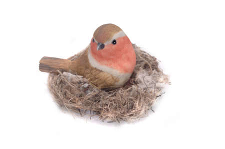 Robin Redbreastの写真素材