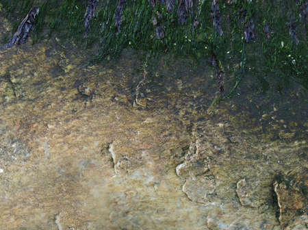 Grunge Backgroundの写真素材