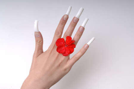 Acrylic Nails and Neatly Manicured Fingernailsの写真素材