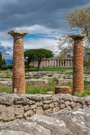 The Temple of Athena in the archaeological park of Paestumの写真素材