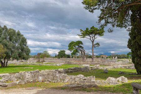 The ruins  (c. 550-450 BC) of the ancient Greek city of Poseidonia, the current city of Paestum in...