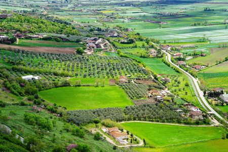 Beautiful spring view of the green valley with cultivated fields, olive  (Olea europaea) groves, roads, homesteads, blooming lilac (syringa) from the mountain, from above in southern Italyの写真素材