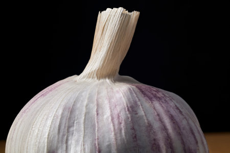 Close-up of Garlic Head with soft shadows, highlighting its layers and textures on a dark background.の写真素材