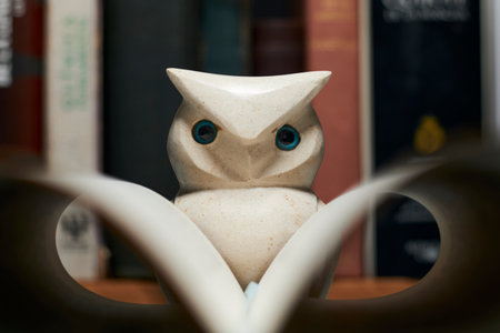 Marble owl between pages of open books in a personal library settingの写真素材