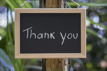 Rustic wooden frame chalkboard displays a handwritten 'Thank you' message outdoors.の写真素材