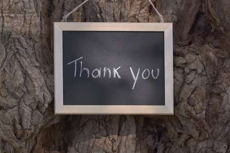 A small chalkboard sign reads 'Thank you' in white chalk, suspended from a textured tree trunk.の写真素材