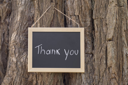 Thank You Chalkboard Sign Hanging on a Rustic Tree Trunk in an Outdoor Nature Sceneの写真素材