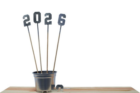 The year 2026 is represented by four wooden sticks, arranged vertically in a silver pot. This visual...