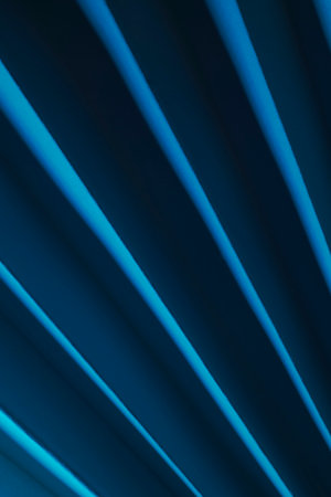 Pattern of radial lines emanating from a vertex, offering a sense of movement and static dynamism.