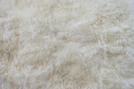 Carpet fur 