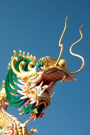 Dragon headの写真素材