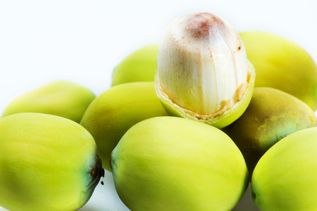 Inside, the flesh of the lotus seeds の写真素材