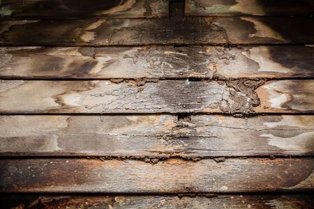 Decayed wooden wall 