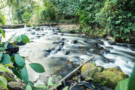 Stream in the forest of Thailandの写真素材