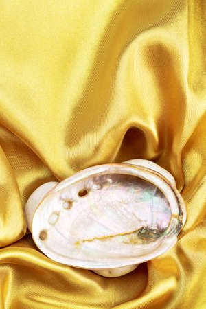 Shell on gold satin. For  vertical backgroundの写真素材