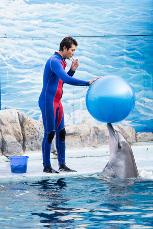 The show dolphin playing the ball. December 292013 at Safari World open zoo  in KlongsamwaThailand.のeditorial素材