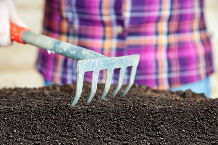 Woman works with rake their humus soilの写真素材