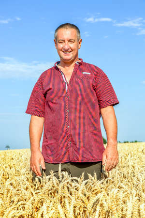 Farmer controls his wheat fieldの写真素材