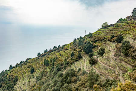 CinqueTerre, world cultural heritage on the Italian Mediterranean coast
