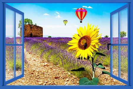 Blooming lavender field looking out the windowの写真素材