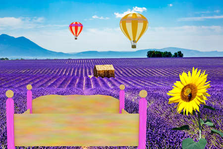Blooming lavender field with hot air balloonの写真素材