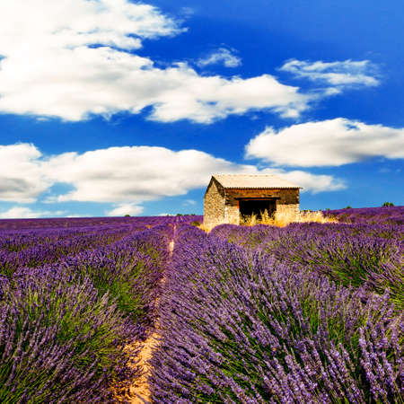 Arrayの写真素材