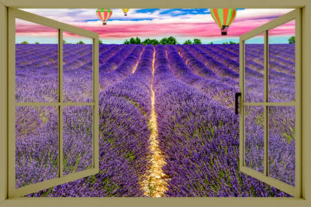 Looking out the window at the lavender fieldの写真素材