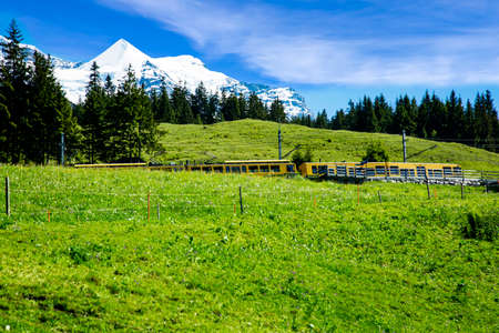 Swiss Alps with Jungfraujochの写真素材