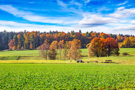 Autumn in the National Park Saxon Switzerlandの写真素材