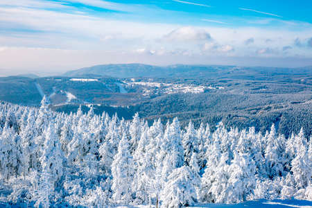 Dreamy winter forestの写真素材
