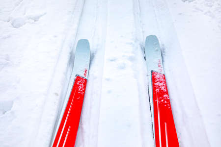 Cross-country skis in winter landscapeの写真素材