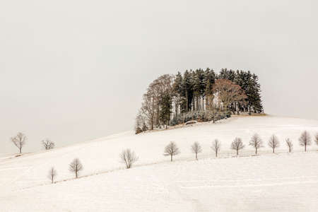 Snowy winter landscape