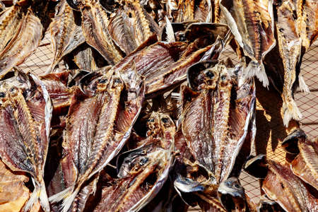 Fish to dry in the sunの写真素材