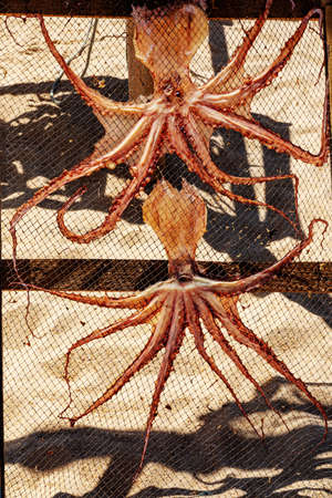 Fish to dry in the sunの写真素材