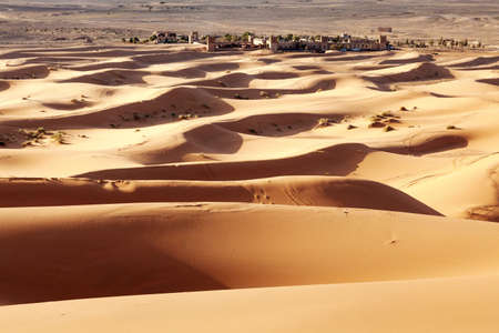 Sand dune in the desert of Morocco
