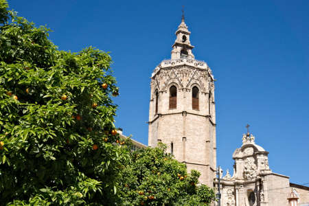 Cathedral of Valencia behind orange trees at a blue summer dayの写真素材