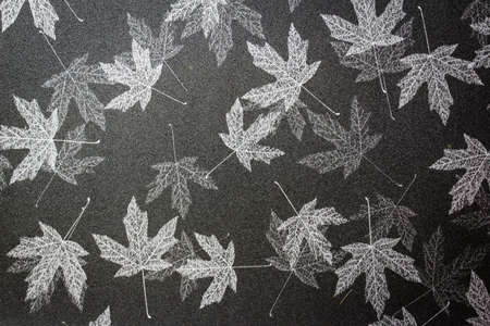 black and gray maple leaf wallpapperの写真素材